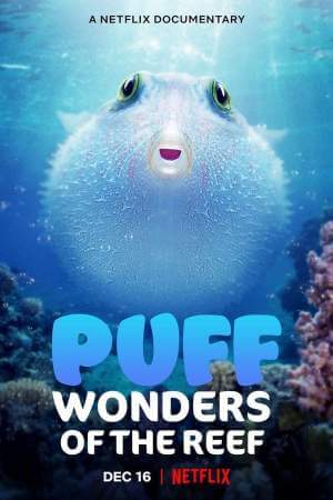 Чудеса кораллового рифа онлайн